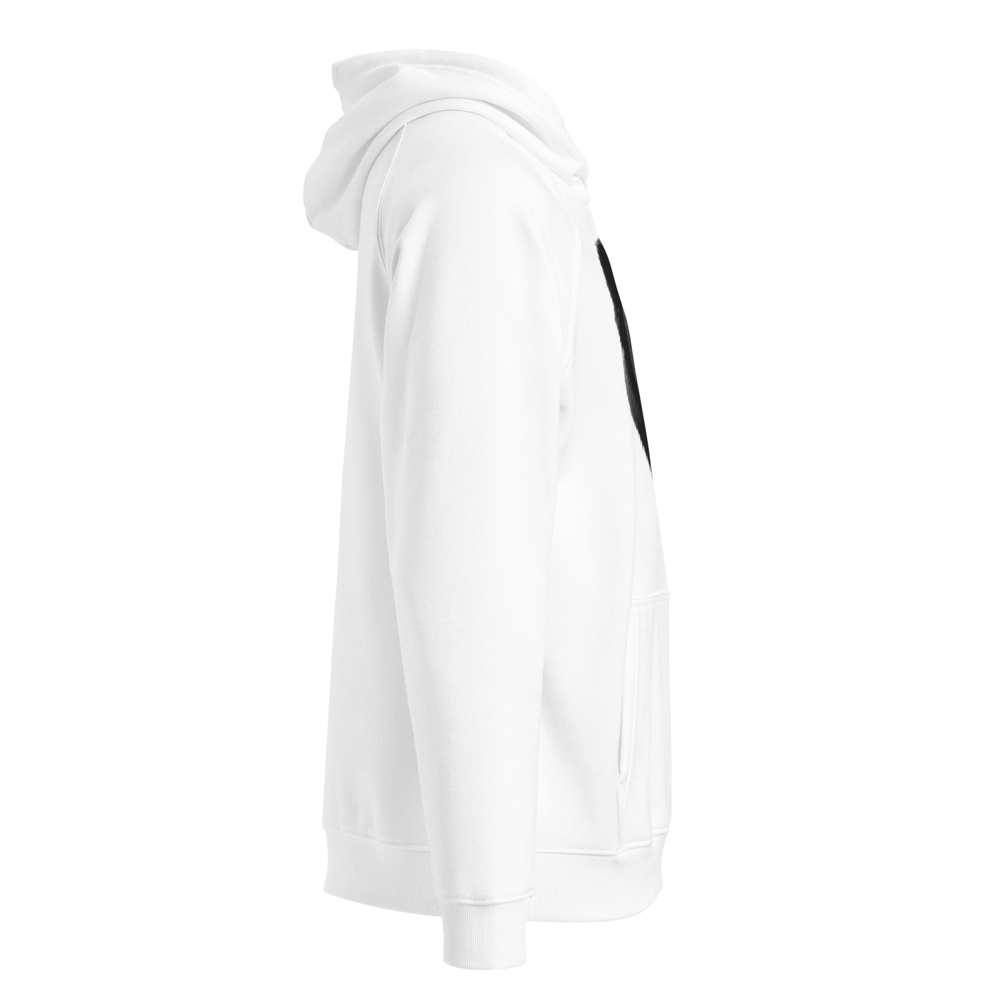 Blacc Polar Bear Unisex eco raglan hoodie